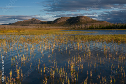 The grass in the lake and mountains on the other side. Lake Labynkyr  Oimyakon region  Yakutia  Russia.