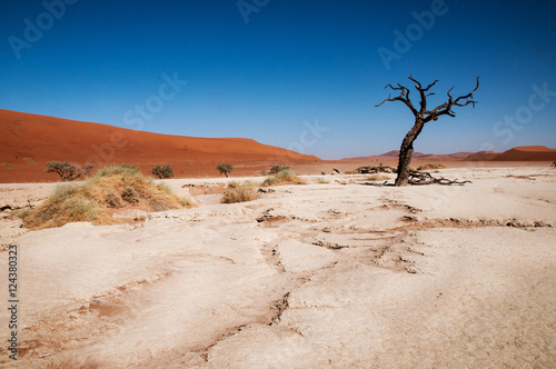 namibian desert photo