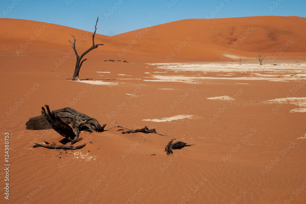 Obraz premium namibian desert