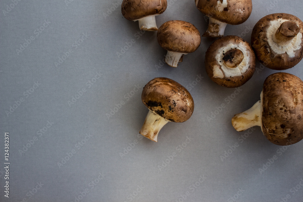 Fresh brown mushrooms on a gray background 