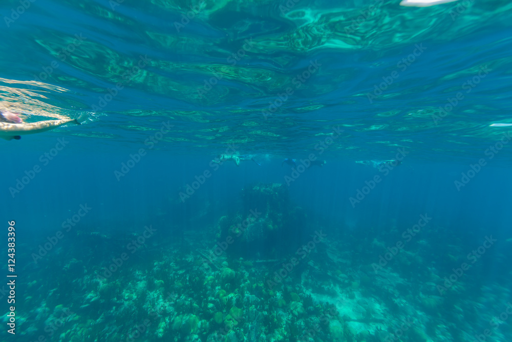 Underwater from Bermuda Island