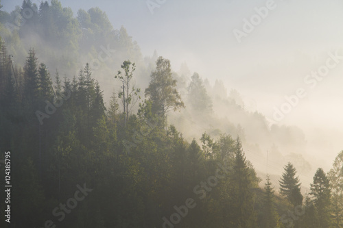 at morning dawn mist over forest in mountains © kavardakova