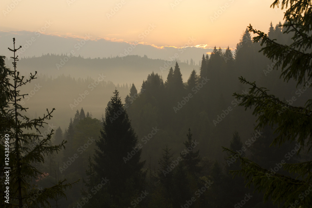 at morning dawn mist over forest in mountains