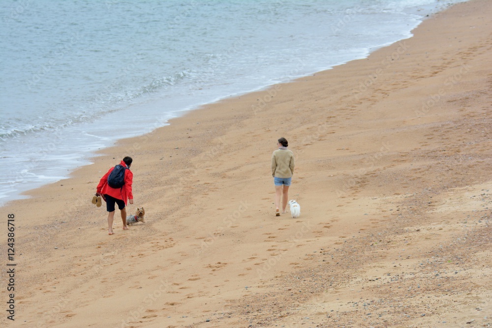 Un couple joue avec ses chiens sur une plage de Bretagne à Trégastel Un couple joue avec ses chiens sur une plage de Bretagne à Trégastel