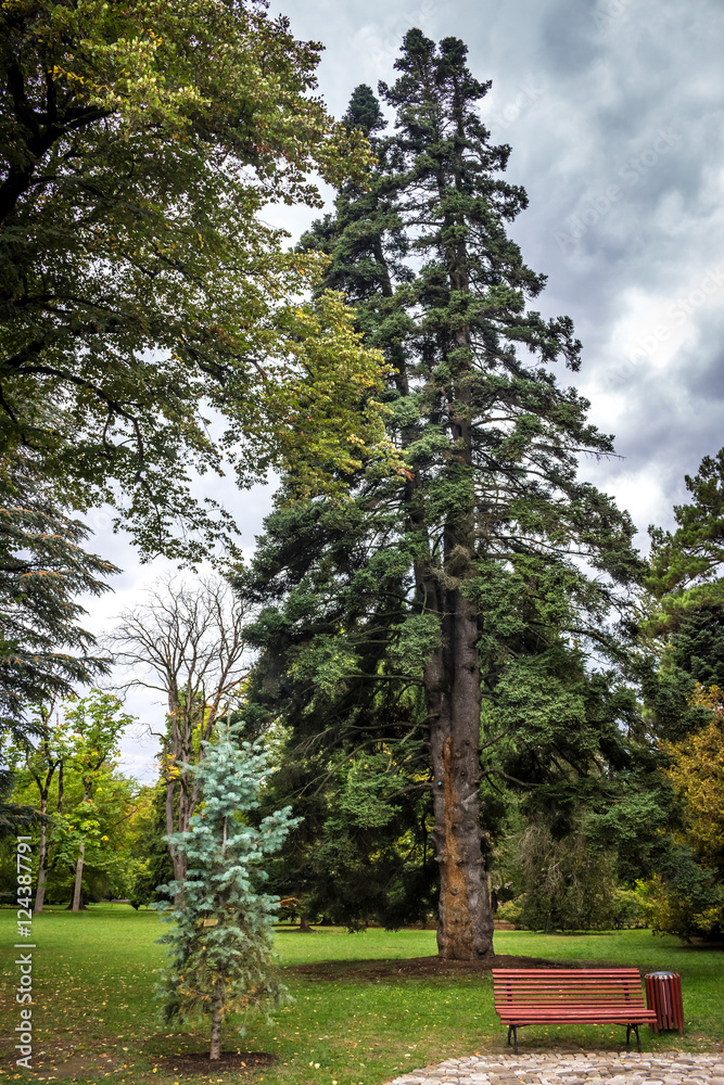 Obraz premium Chavchavadze park in Tsinandali, Kakhetia, Georgia