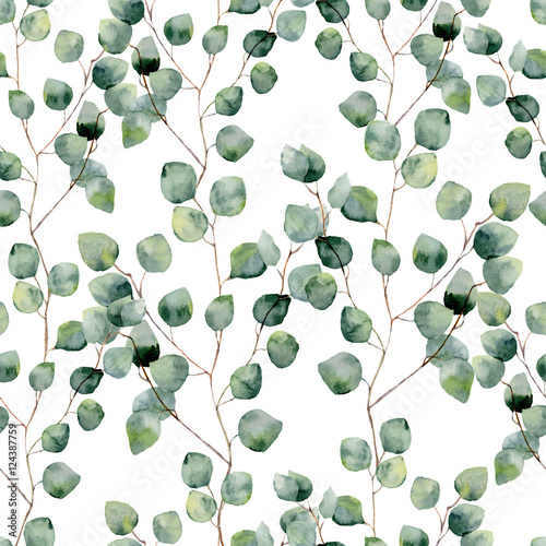 Akwarela zielony kwiatowy wzór z okrągłymi liśćmi eukaliptusa. Ręcznie malowany wzór z gałęzi i liści eukaliptusa srebrnego dolara na białym tle. Do projektowania lub tła
