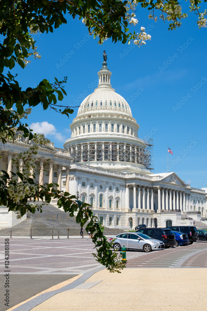 Obraz premium The United States Capitol in Washington D.C.