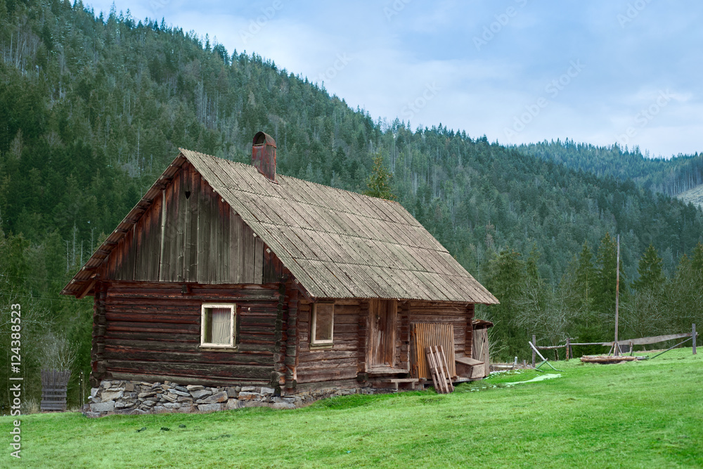 Winter in the mountains and coniferous forest