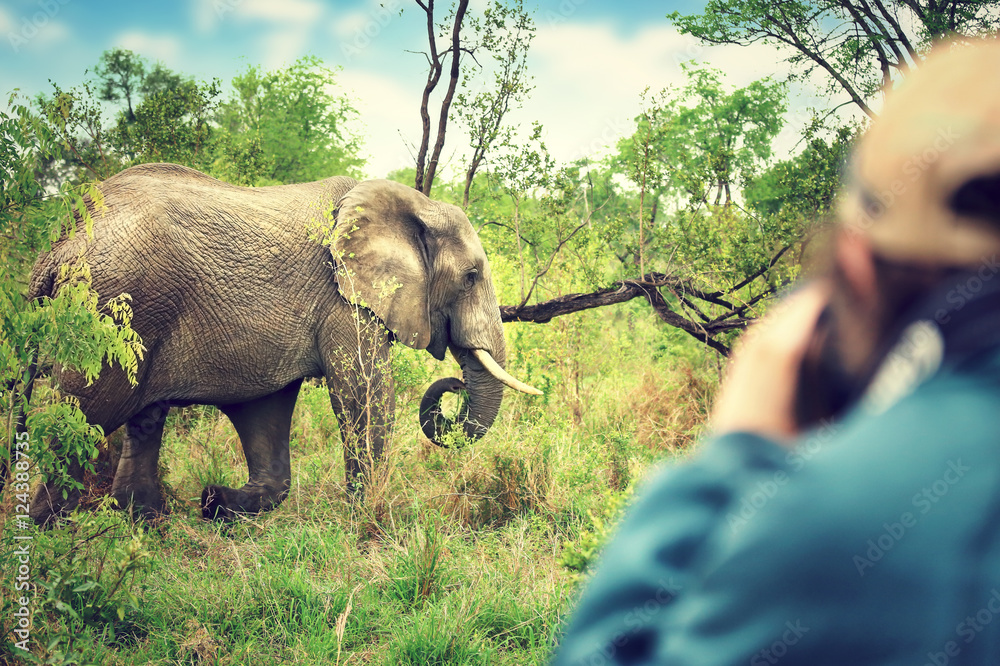 Obraz premium Photographer taking safari pictures