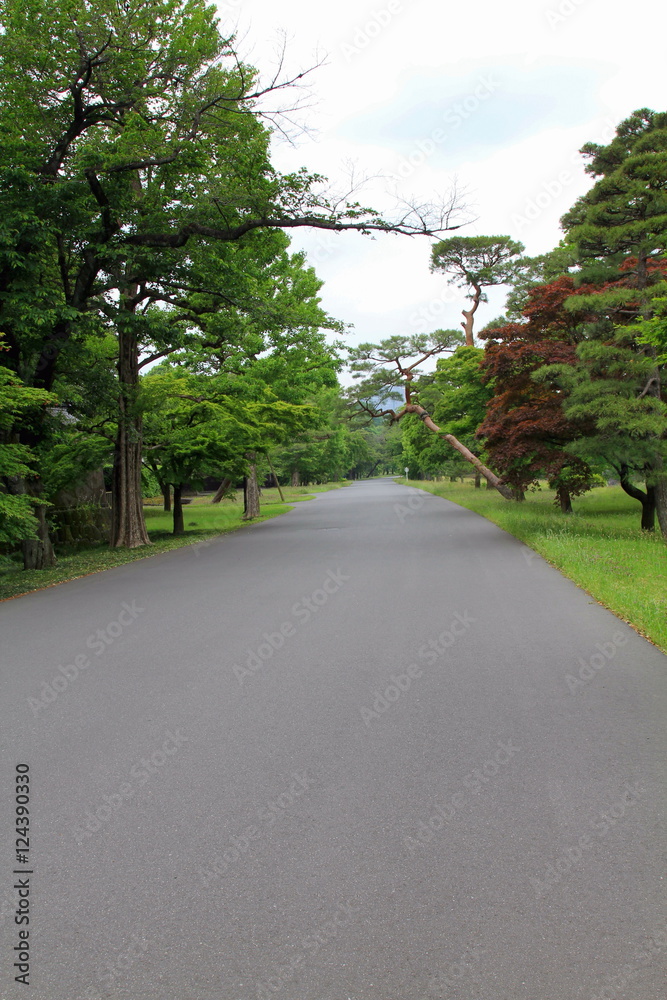 皇居乾通り、 皇居乾通り、