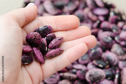 Foto Styrian scarlet runner beans