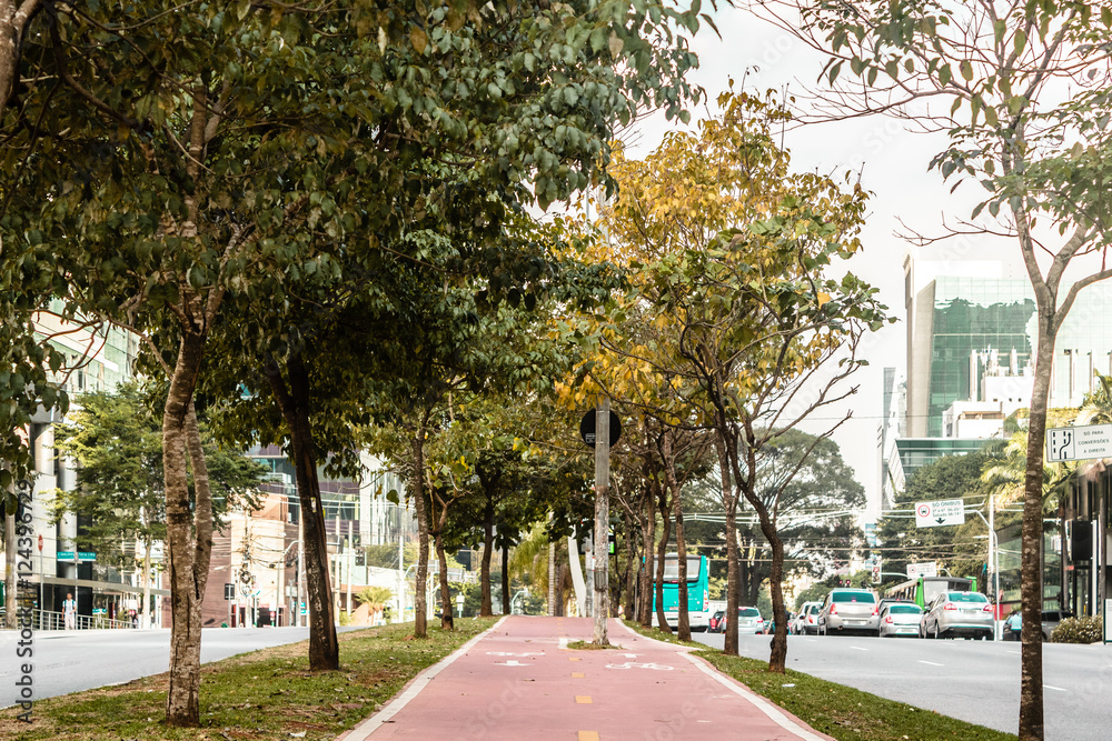 Bike Path in the Streets of Sao Paulo, Brazil (Brasil)