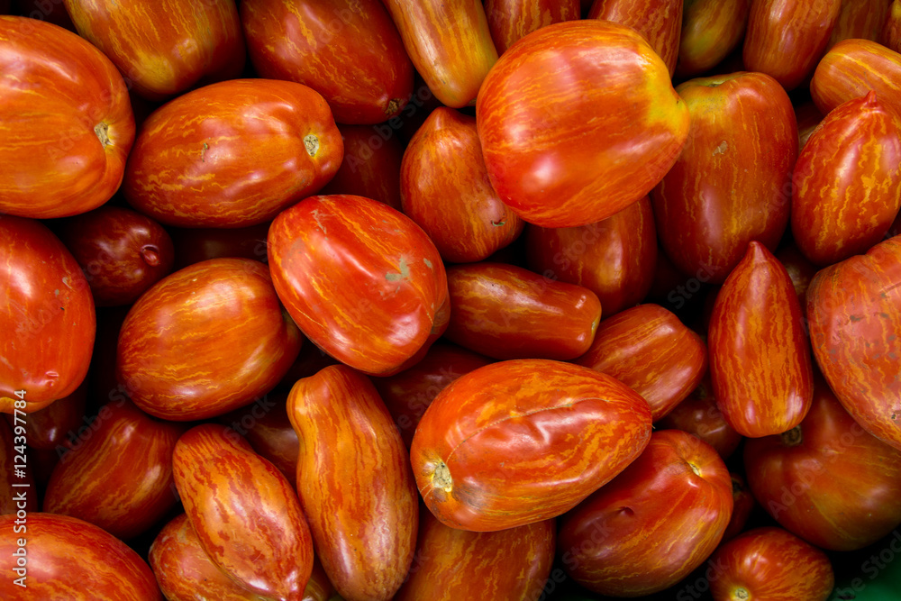Obraz premium Roma tomatoes