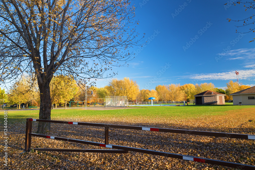 Fototapeta premium Rotary park during fall season, Saint Cloud, Minnesota