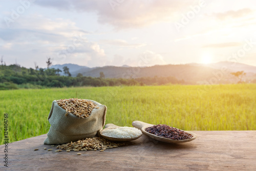 Fotografie paddy rice in a bag with a rice uncooked and unpolished rice on the wooden table in the field of farmland background in sunset
