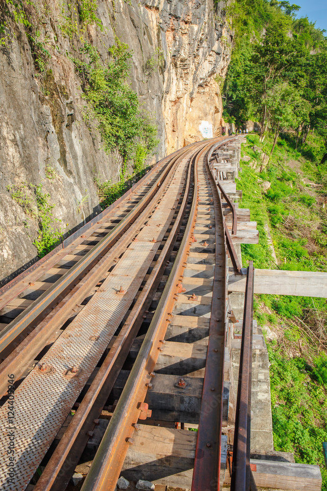 Fototapeta premium View of nature and Railroad tracks