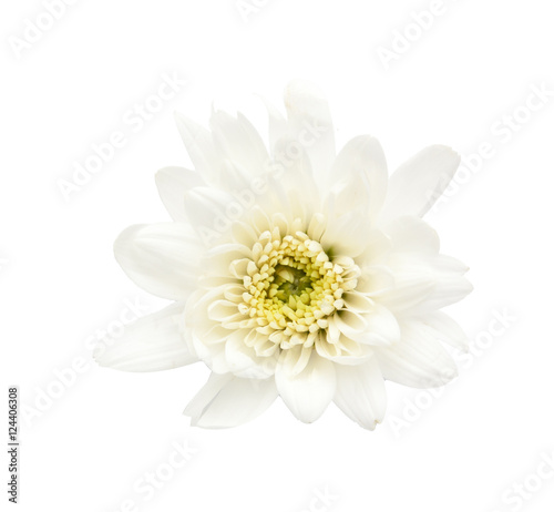 white flower isolated © onairjiw