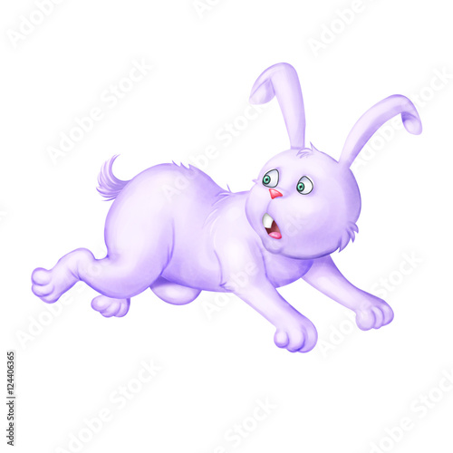 Rabbit