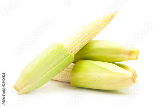 baby corn isolated
