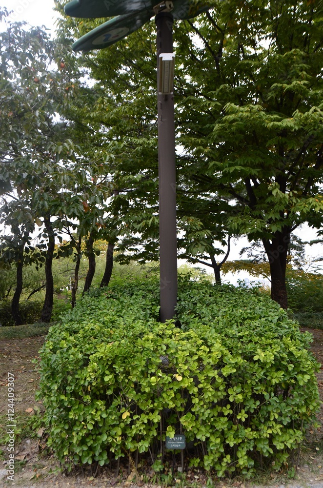 Fototapeta premium Park Han River Seonyudo