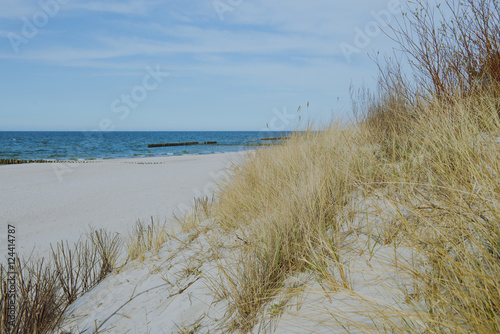 Fototapeta Naklejka Na Ścianę i Meble -  sunny beach with sand dunes