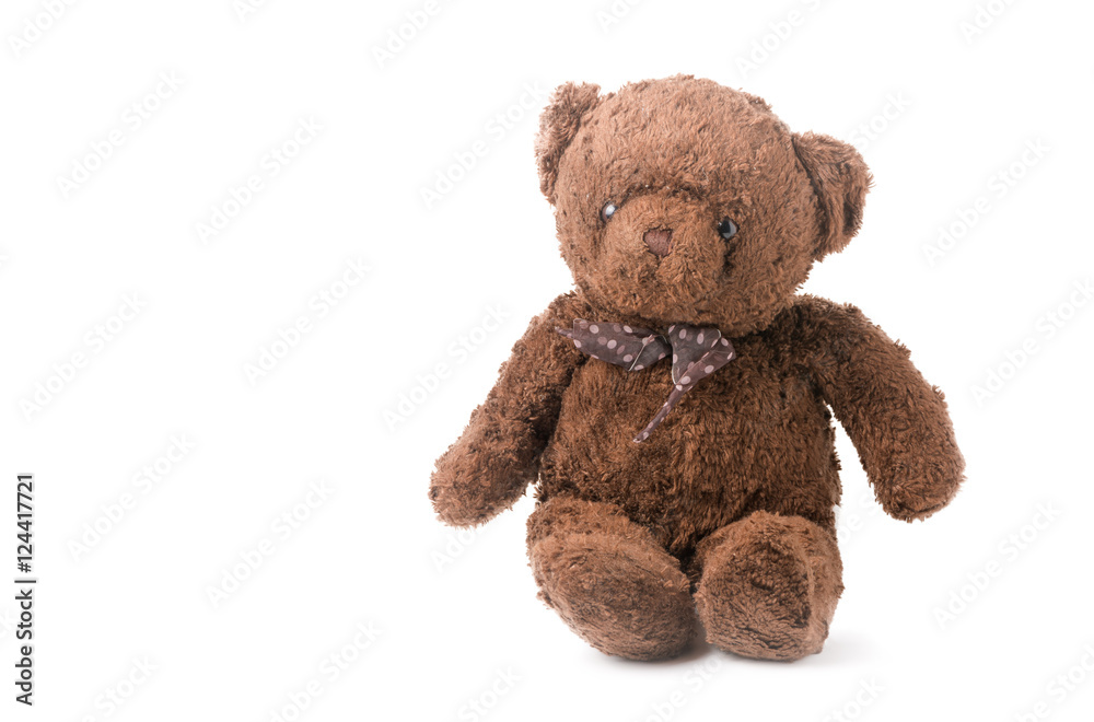 Obraz premium cute brown Teddy Bear isolated