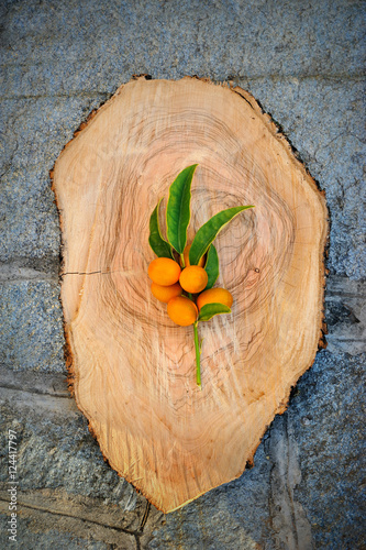 kumquat flat lay, top view on the wood stump