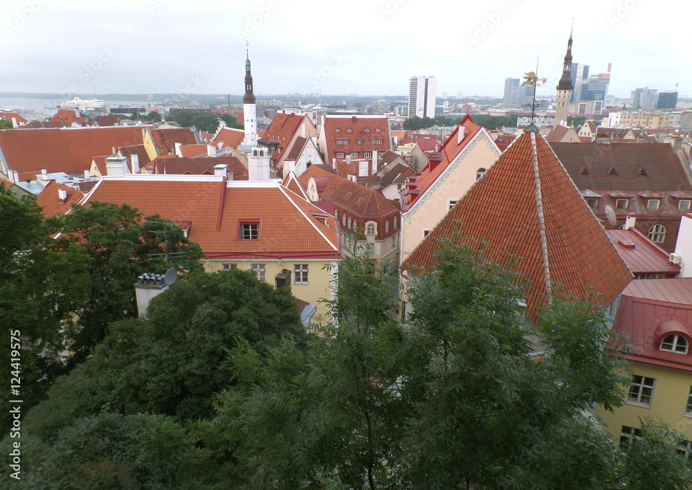 Beautiful Rooftop View of Tallinn Old Town, Estonia 