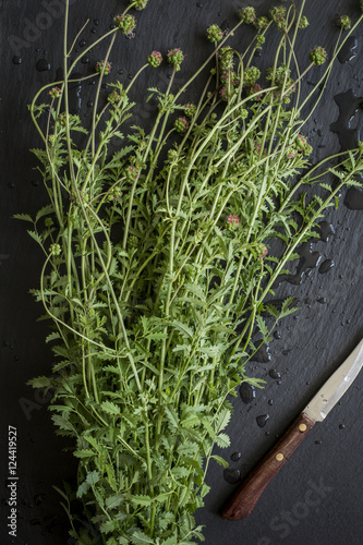 Herbs fresh from the market on slate board. Top view photo