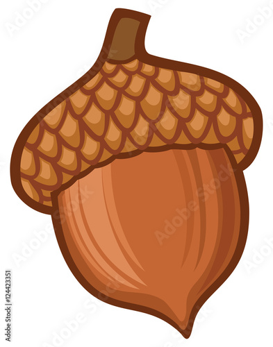 acorn illustration