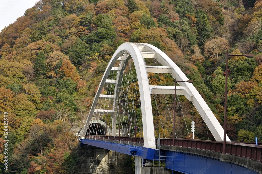 紅葉の大棚沢橋 紅葉の大棚沢橋