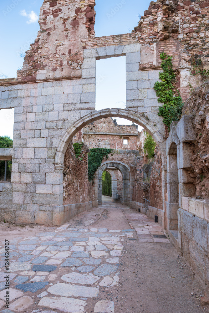 Priorat Monastery Ruins of the Carthusian monastery Scala Dei, the Cartoixa de Santa ...
