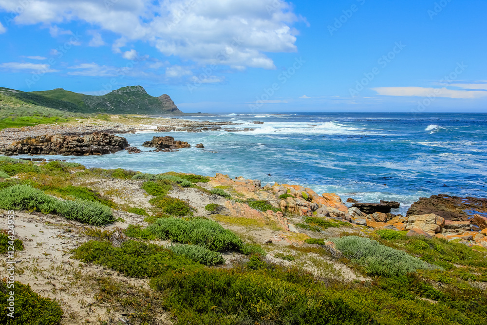 Cape of Good Hope Nature Reserve in Cape Peninsula National Park, South Africa. Cape Point on background.
