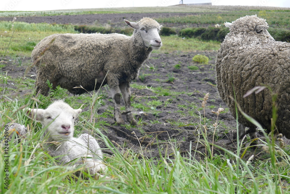 Obraz premium Ecuador, Volcano Quilotoa