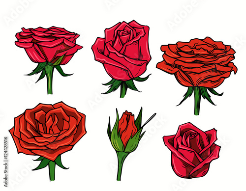 vector red beautiful roses