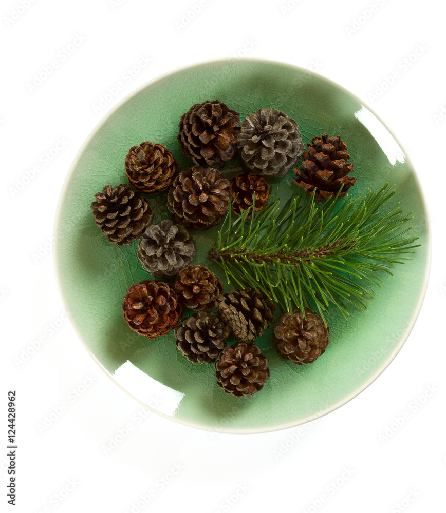 pine branch isolated on white background StockFoto Adobe Stock
