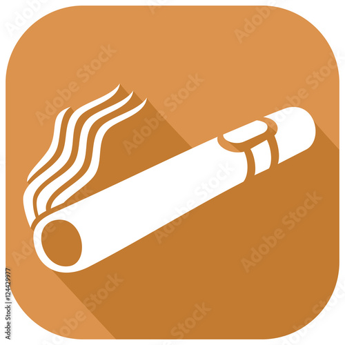 cuban cigar flat icon
