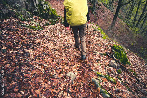 Traveler with backpack hiking outdoor Travel Lifestyle concept forest on background Summer journey vacations