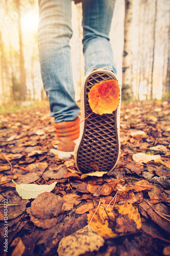 Woman Feet sneakers walking on fall leaves Outdoor with Autumn season nature on background Lifestyle Fashion trendy style