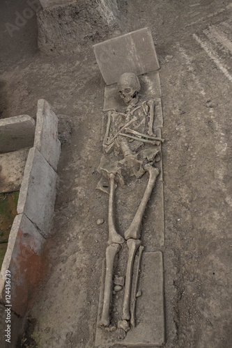 Skeleton in archaeological site of Viminacium Roman city Serbia photo