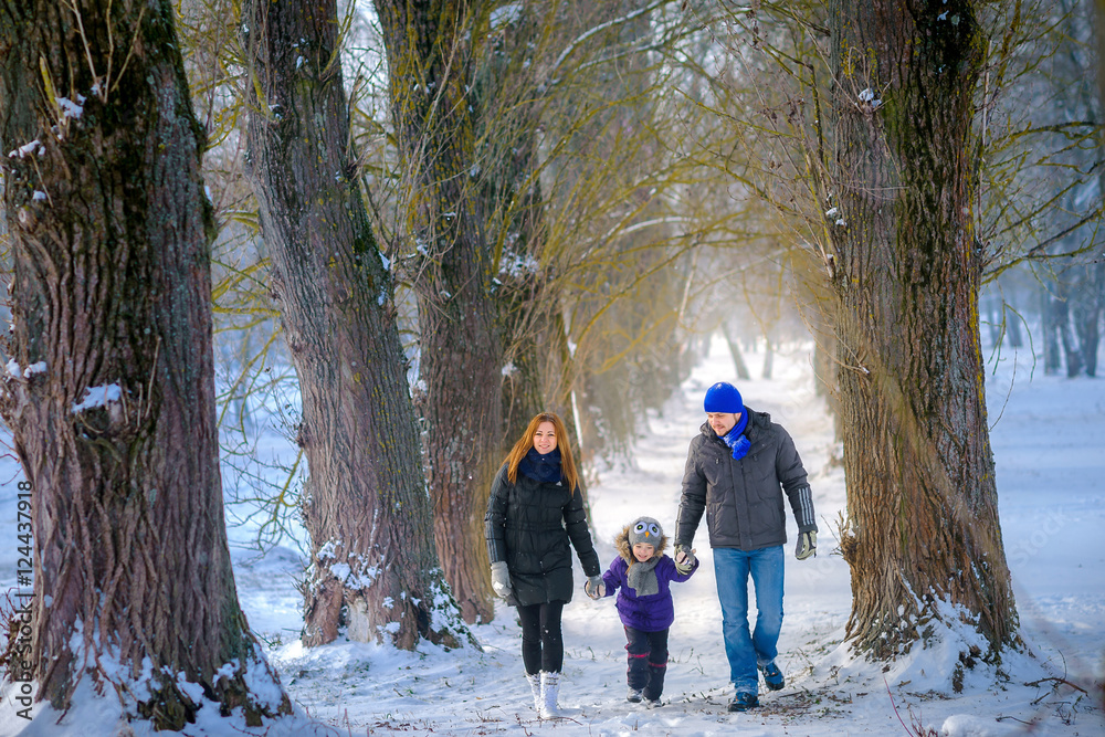 family walks in the winter wood