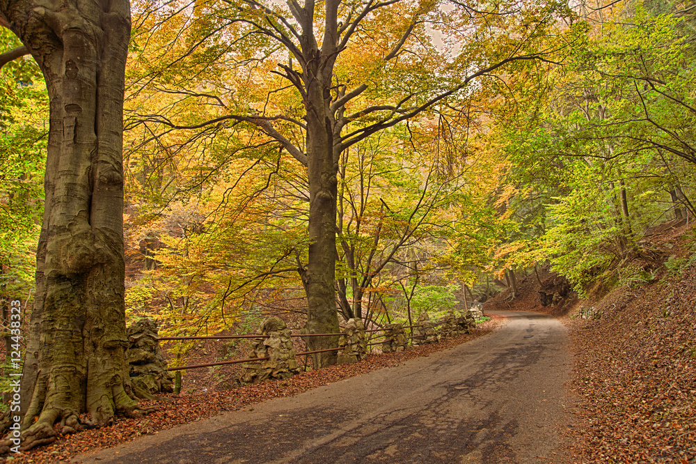 Obraz premium Paesaggio autunnale