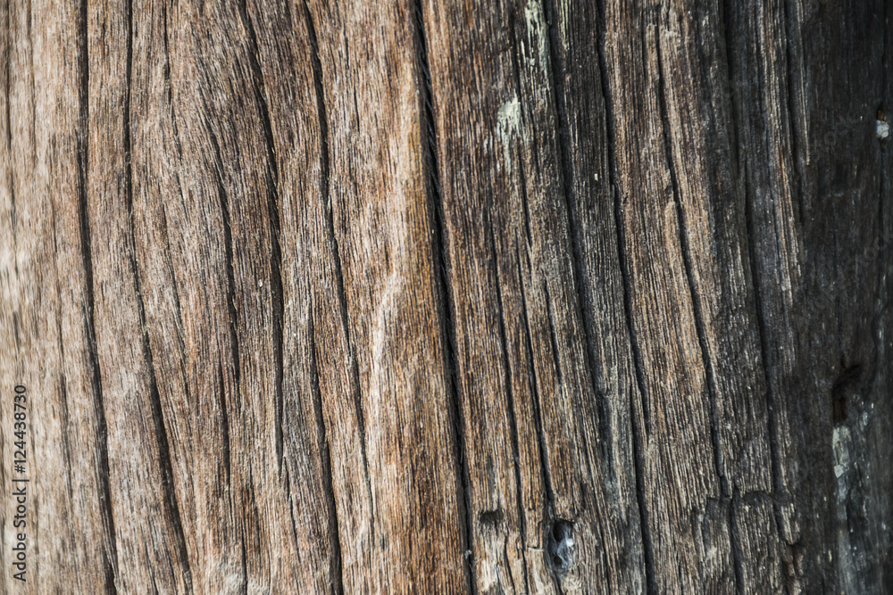 wood texture background. brown material panels. wood texture background. brown material panels.