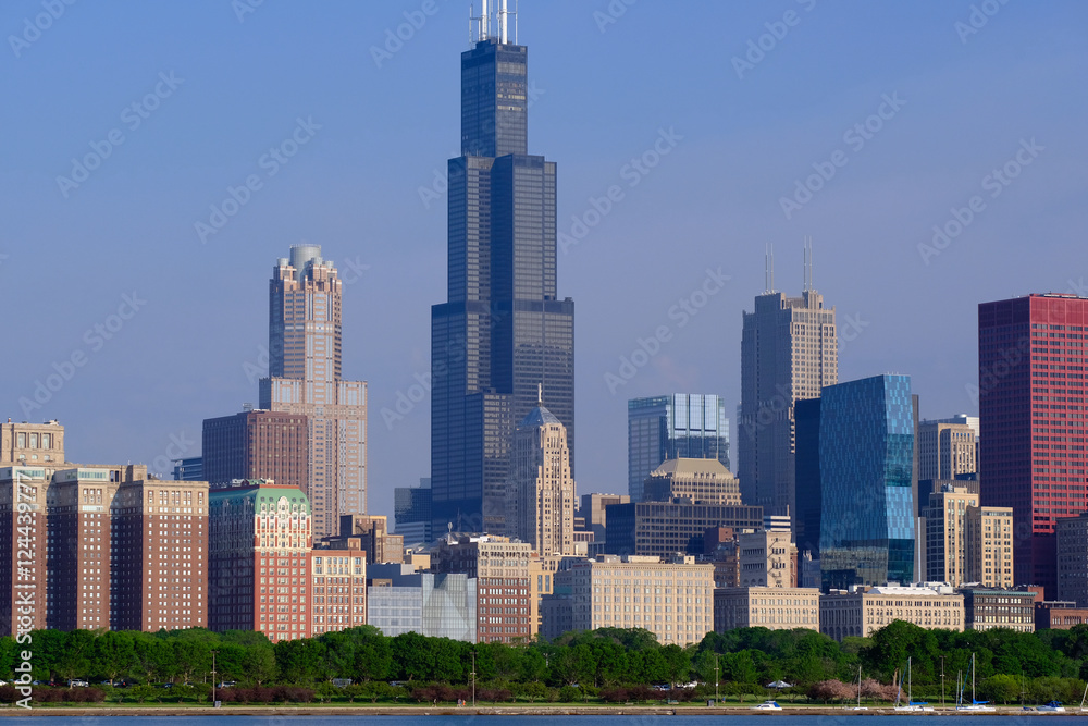 Obraz premium Chicago skyline