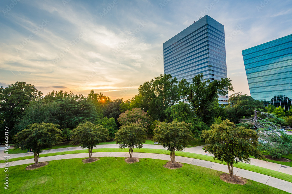 Trees and modern buildings in Columbia, South Carolina.