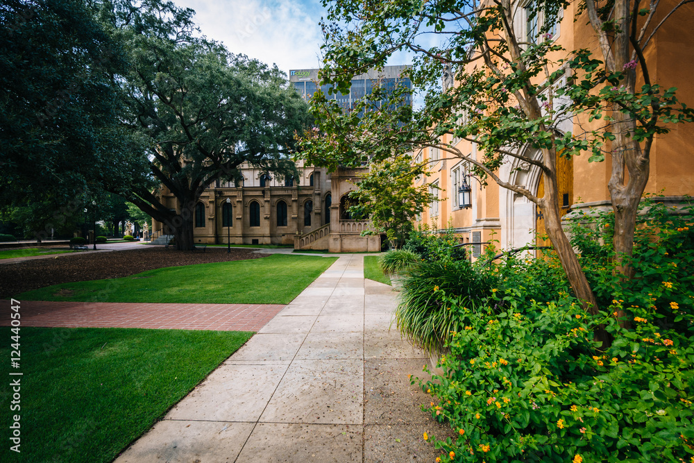 Walkway and the exterior of Trinity Episcopal Cathedral, in Colu Walkway and the exterior of Trinity Episcopal Cathedral, in Colu