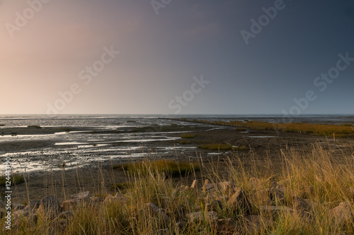 K  stenlandschaft