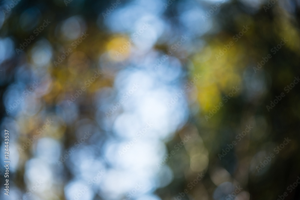 autumn colored blur background autumn colored blur background