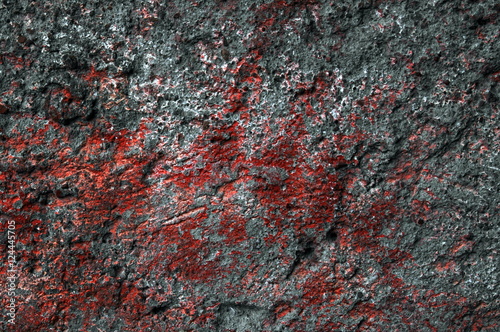 texture of the rocky surface of the globe