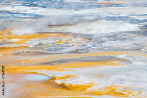 Thermal feature Yellowstone National Park